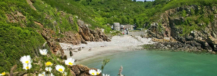 Fishing Harbours, Panoramic Views & Wartime Tales