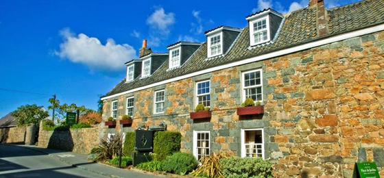 Travelling With Dogs To Guernsey By Sea Guernseytravel Com