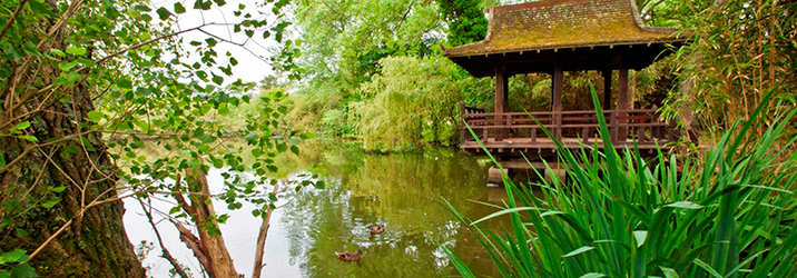 Nature Trails, Restored Historic Gardens & Woods