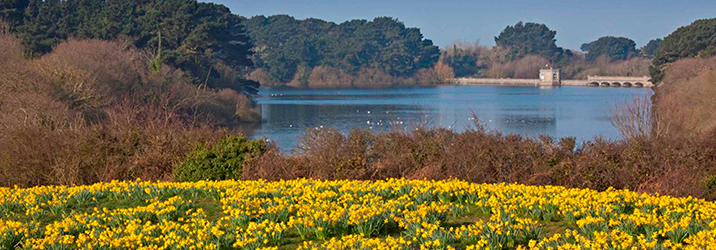 Peace & Quiet Following Nature's Own Trail