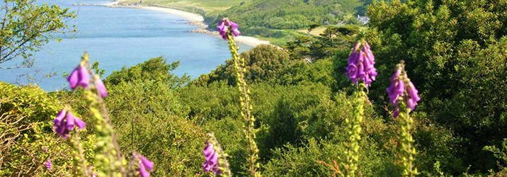 Sandy Beaches, Cliff Paths & Ancient Pathways - Herm
