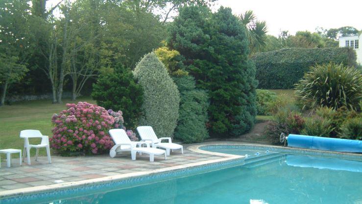 Fleur du jardin guernsey 05